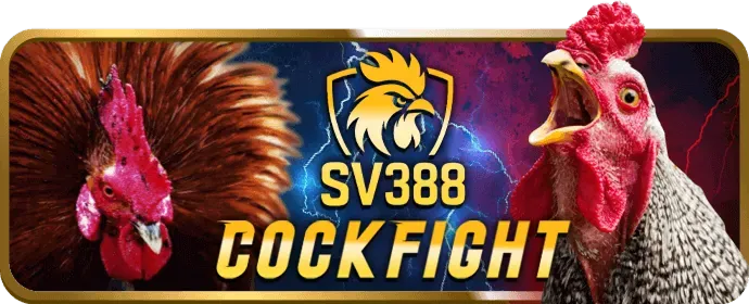 Khám phá kho game bài đa dạng và hấp dẫn tại bu88
